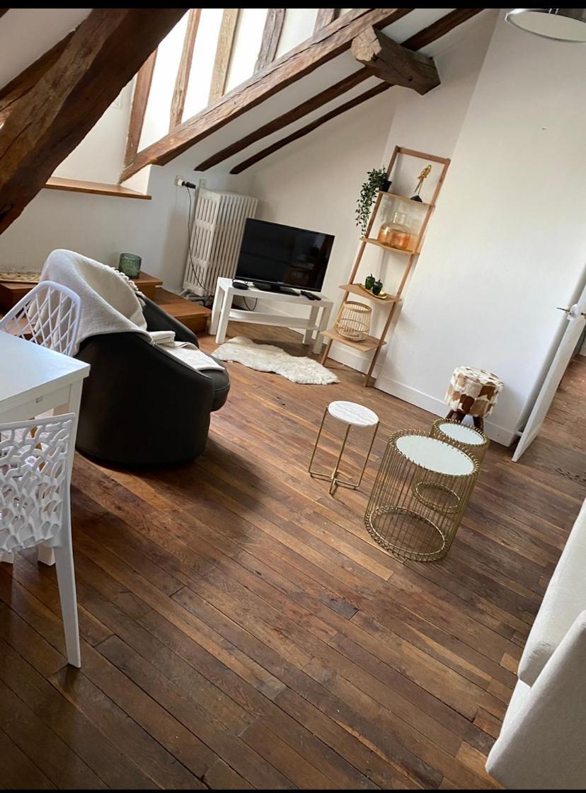 Magnifique Appartement Beaux Arts Тур Екстер'єр фото